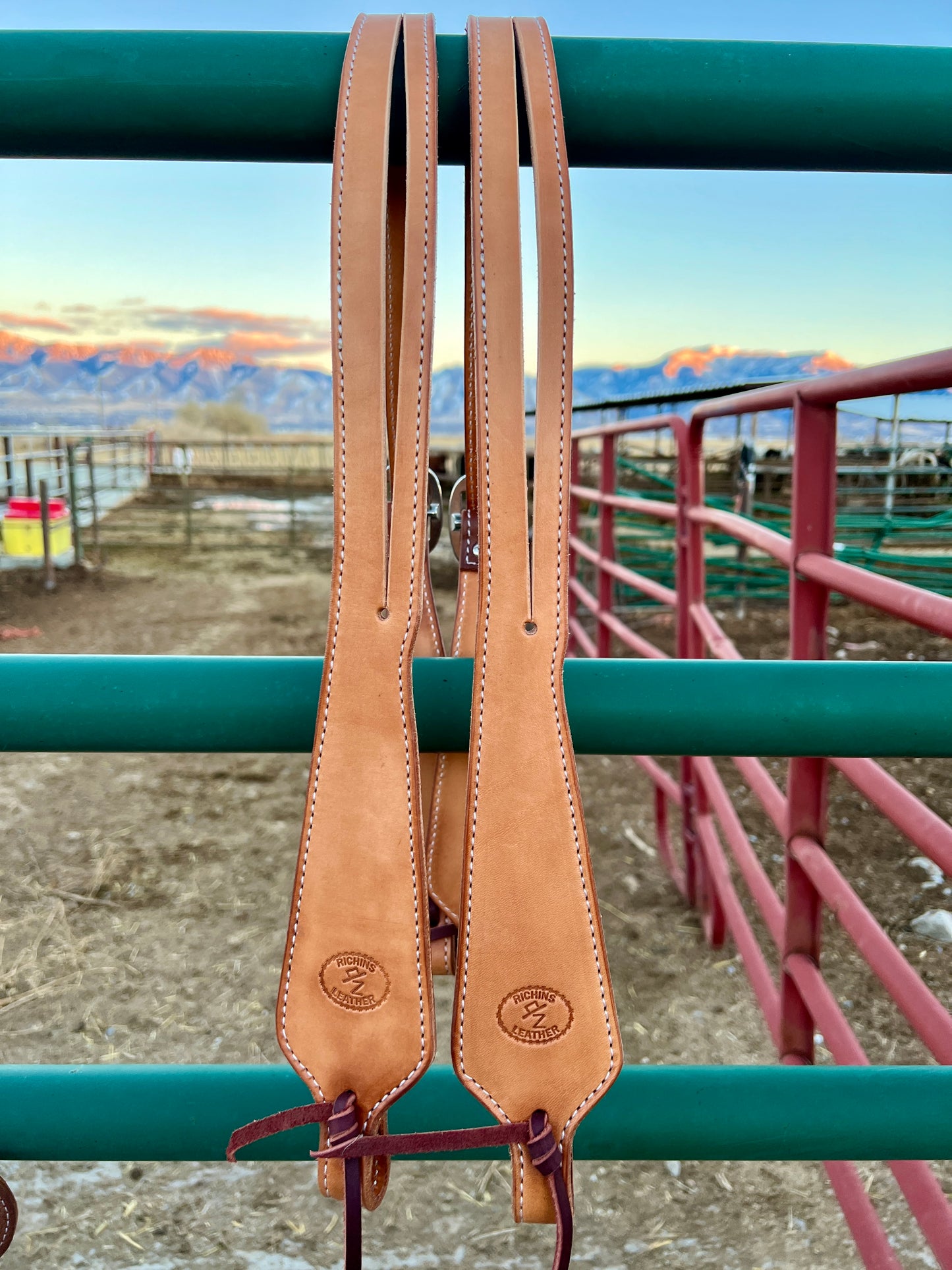 Split Ear Headstalls