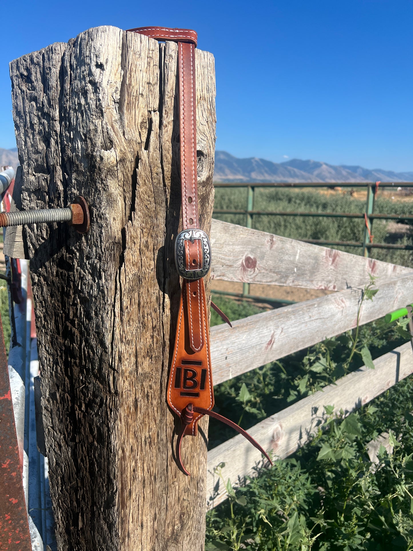 Custom One ear piece headstall